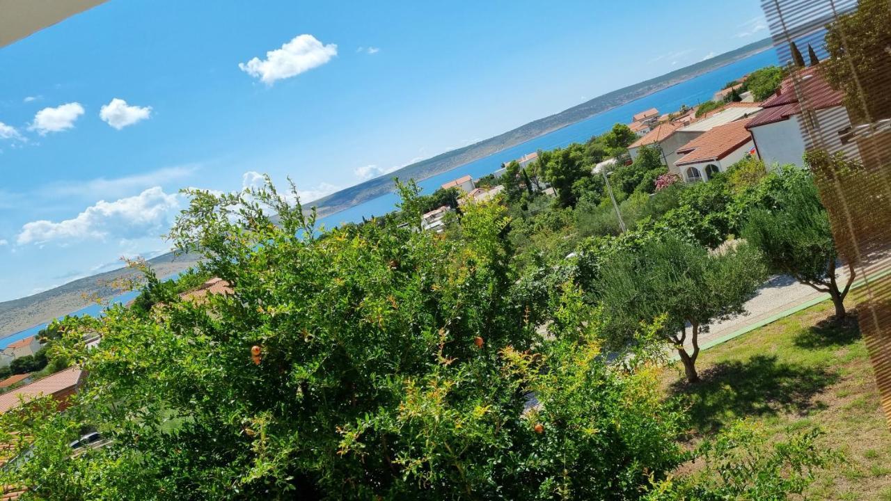 Arts Room Jasmina With Sea View Bikers And Pets Are Welcome Starigrad Paklenica Buitenkant foto